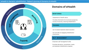 ehealth-in-de-eriatrische-revalidatie-een-internationale-consensusstudie