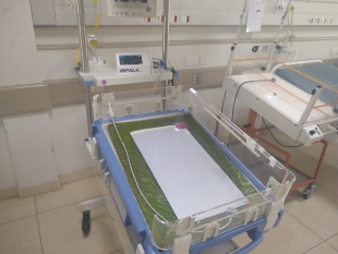 impala- IMPALA: Een innovatief monitoringsysteem voor de PA-kindergeneeskunde in een omgeving met weinig middelen: een hulpmiddel om levens te redden. een-innovatief-monitoringsysteem-voor-de-pa-kindergeneeskunde-in-een-omgeving-met-weinig-middelen-een-hu